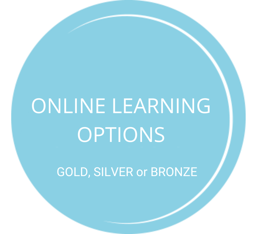 online learning options